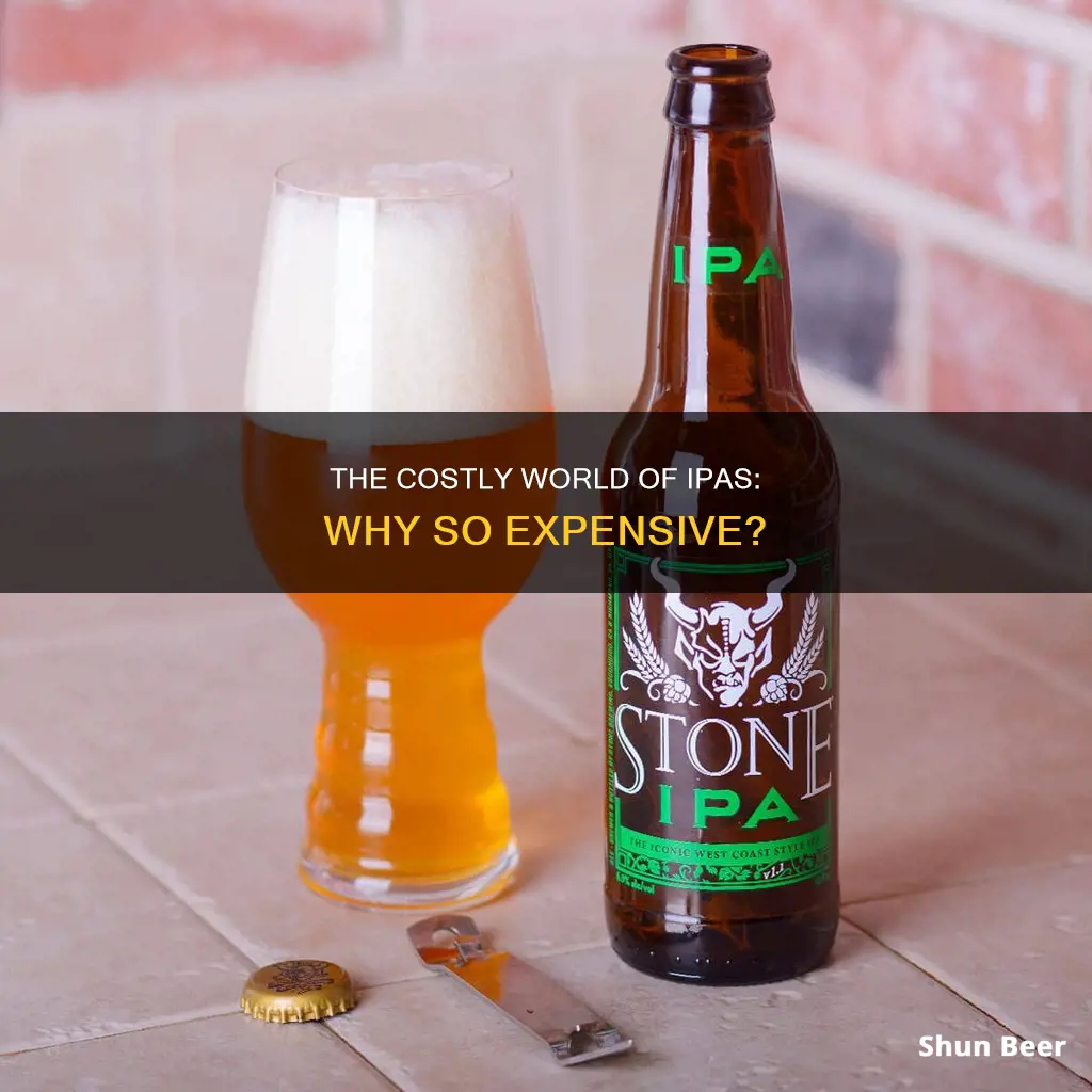 how expensive is ipa beer