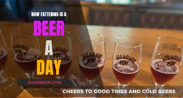 Uncover the Surprising Health Impact: One Beer a Day, One Year Later