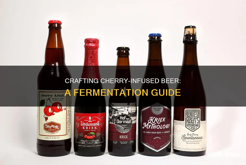 how ferment beer with cherries