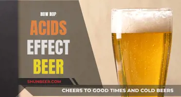 Hop Acids' Intricate Influence on Beer's Flavor and Aroma