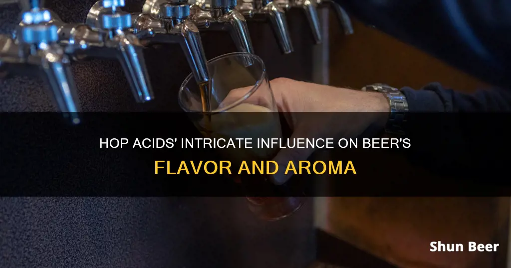 how hop acids effect beer