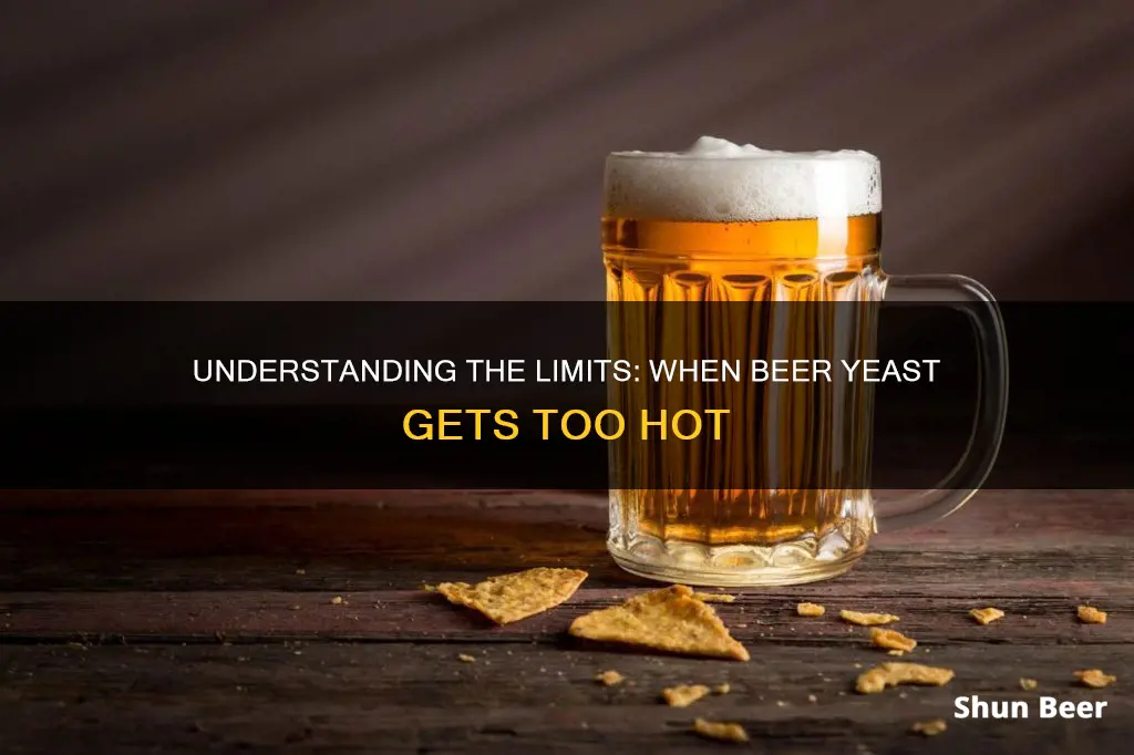 how hot is too hot for beer yeast