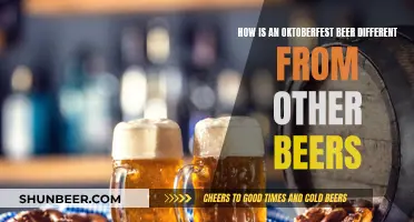 Oktoberfest Beers: What Sets Them Apart?