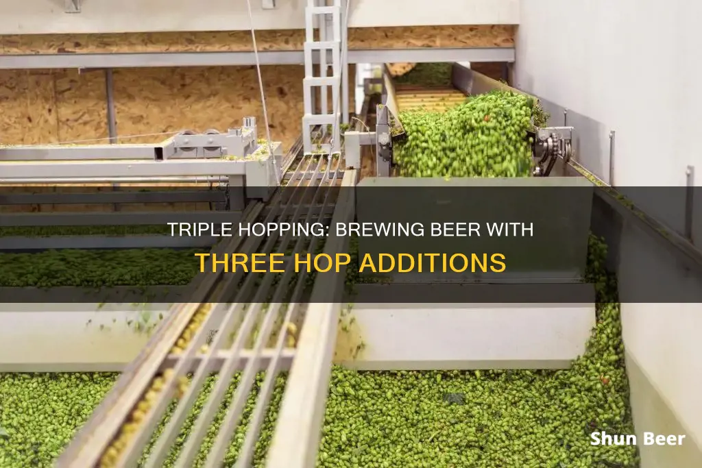 how is beer triple hopped