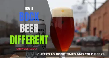 What Makes Bock Beer Unique and Different?