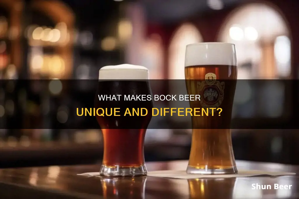 how is bock beer different