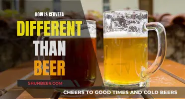 Cerveza vs Beer: What's the Difference?