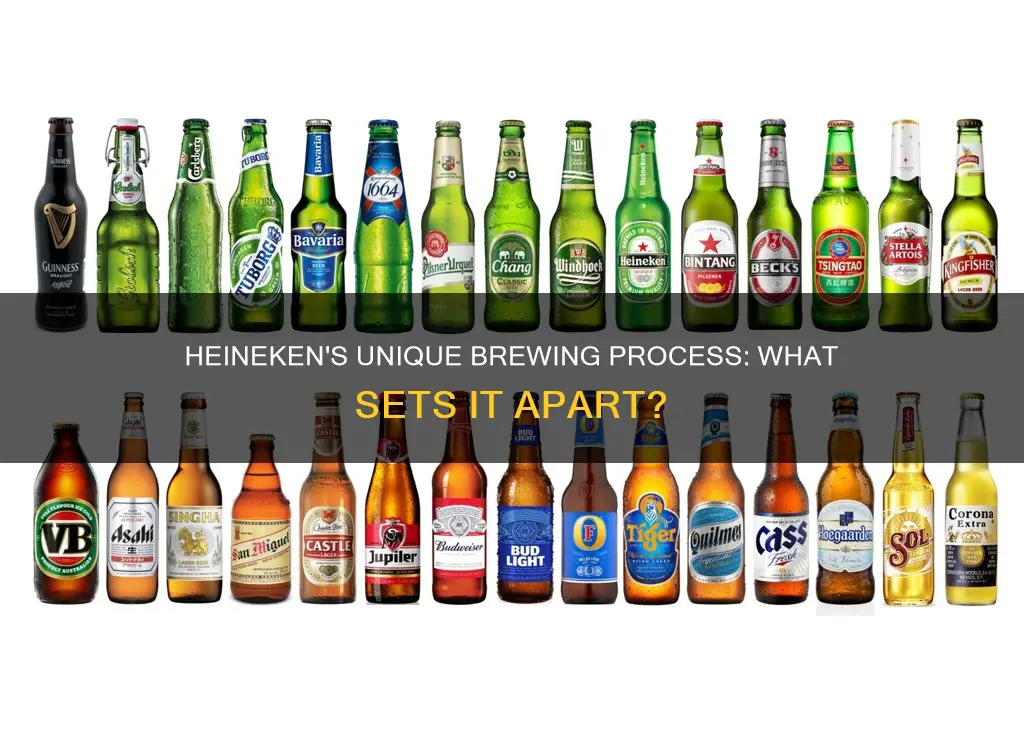 how is heineken different from other beer brands