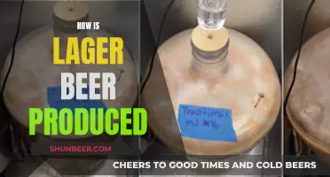 Unveiling the Art of Lager Beer: From Malting to Fermentation