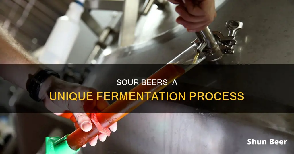 how is making sour beers different from regular beers