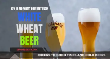 Red vs White Wheat Beer: What's the Difference?