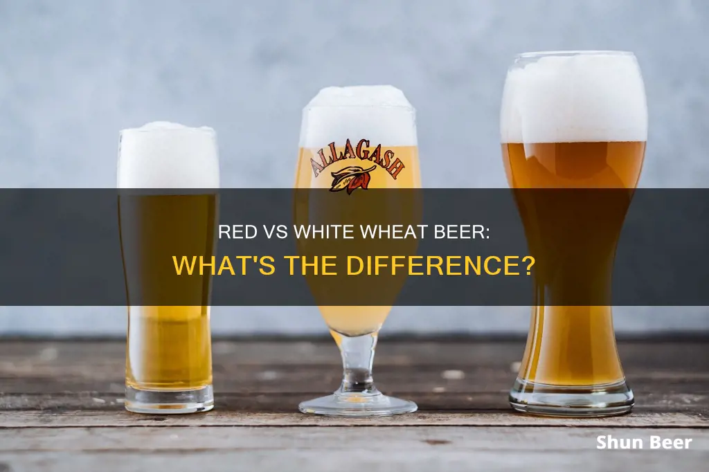 how is red wheat different from white wheat beer