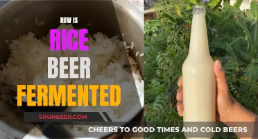 Uncovering the Magic: Rice Beer's Fermentation Process