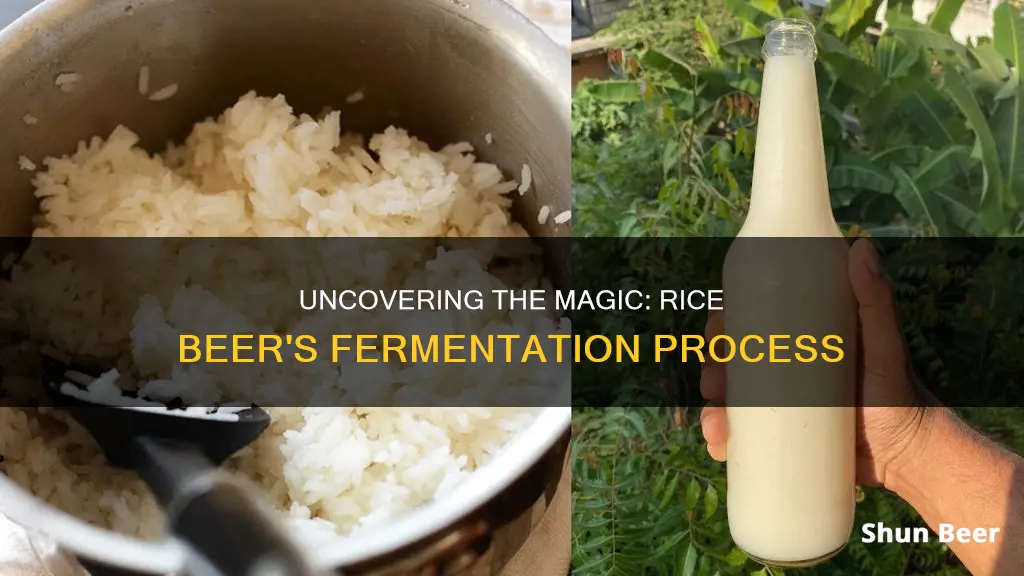 how is rice beer fermented