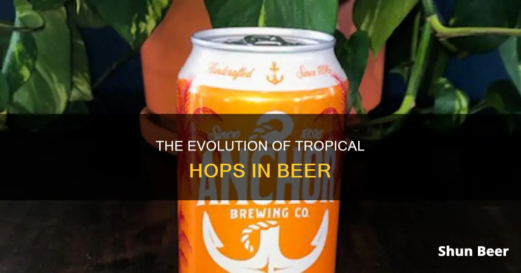 how is trop hop beer doing