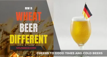 Wheat Beer: What Sets It Apart?