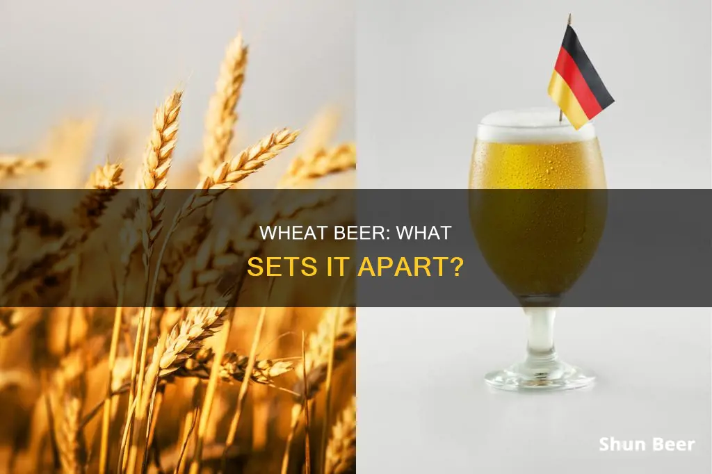 how is wheat beer different