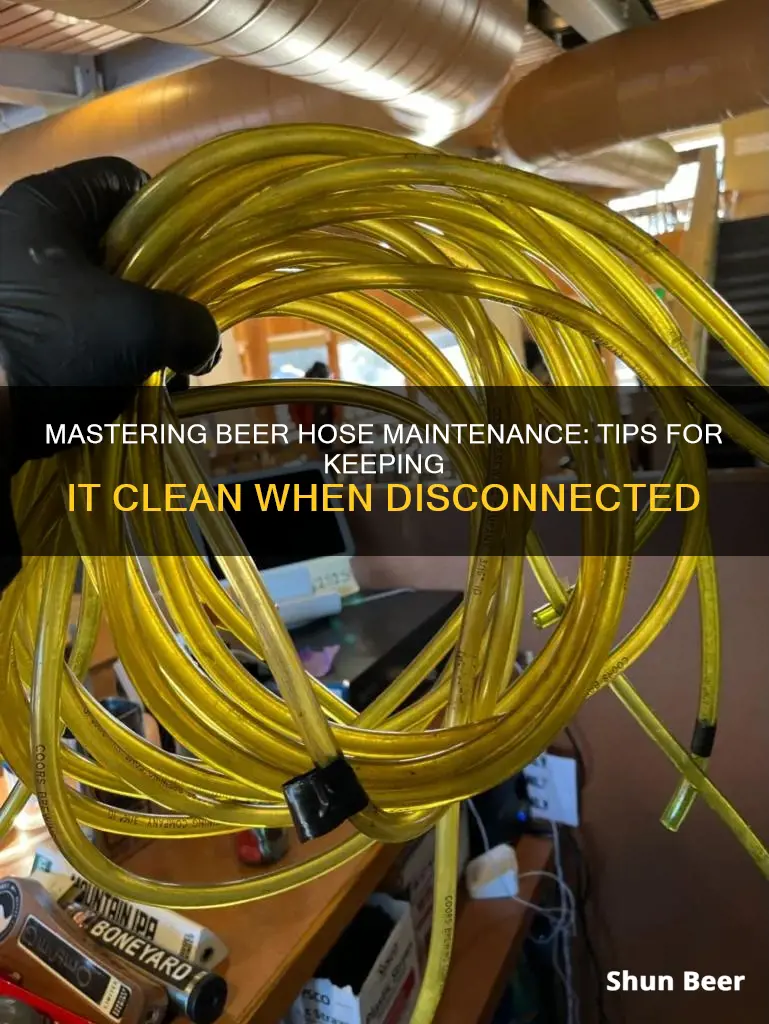 how keep beer hose clean when not connected