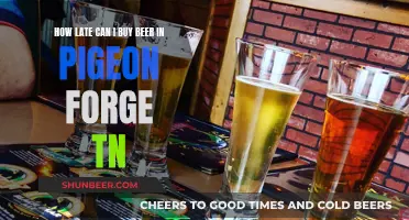 Beer Buying in Pigeon Forge: Late-Night Limits Explained