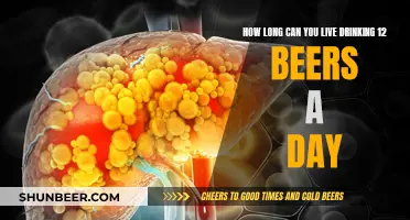 Drinking 12 Beers Daily: How Long Can You Survive?