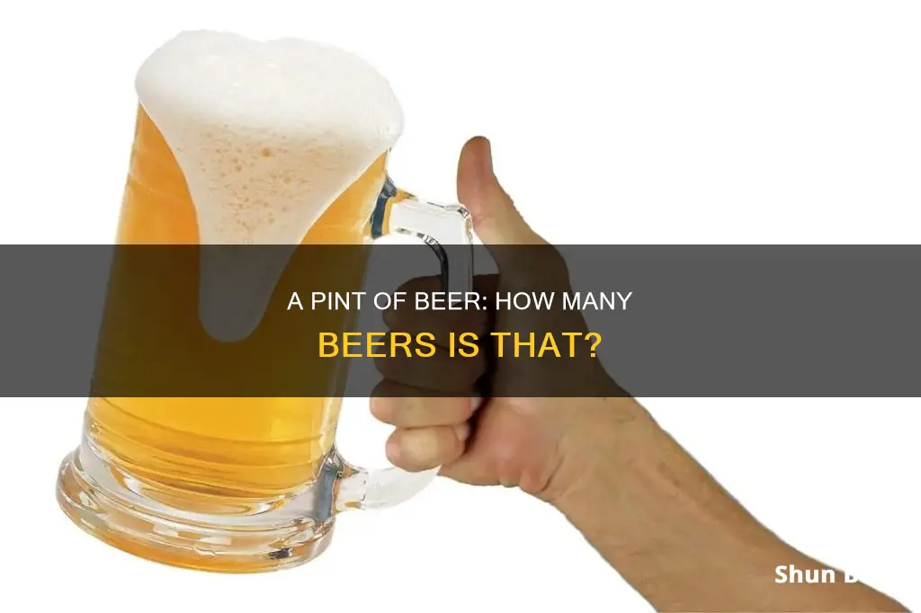 how many beer is in 1 pint