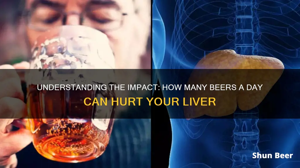 how many beers a day hurts the liver