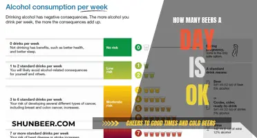 Unraveling the Mystery: How Many Beers Daily is Safe?