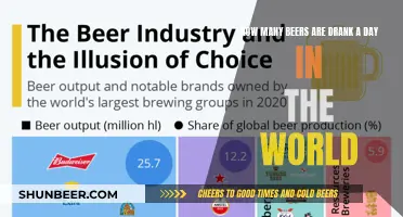 Global Beer Consumption: A Day's Worth of Fun