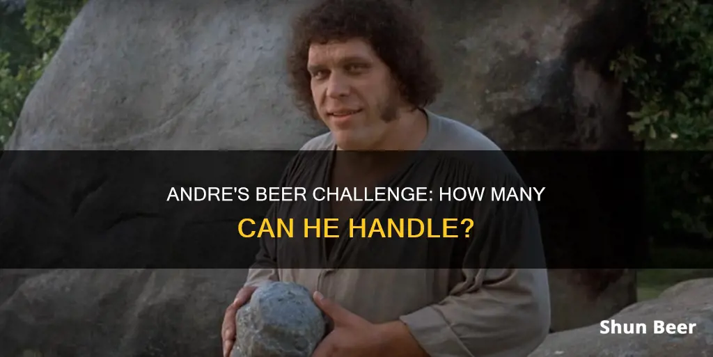 how many beers can andre drink