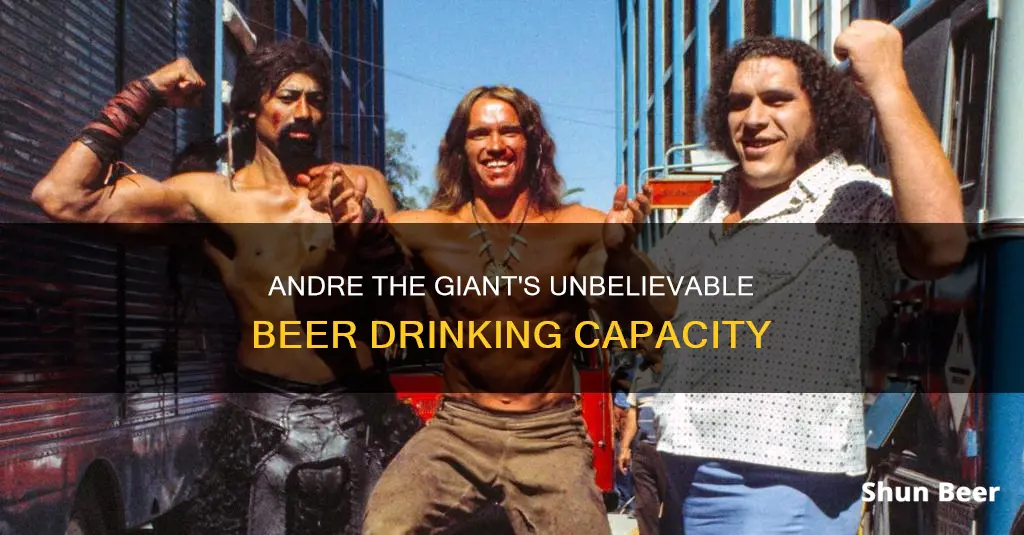 how many beers could andre the giant drink