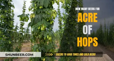 Hops to Beer: Acres of Fun and Flavor