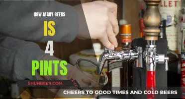 Converting Pints to Beers: Understanding the Count