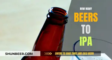 Exploring IPAs: Beer Styles and Tasting Notes