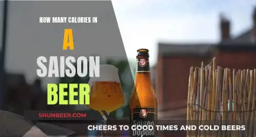 Calorie Counting: Saison Beer's Nutritional Secrets Revealed