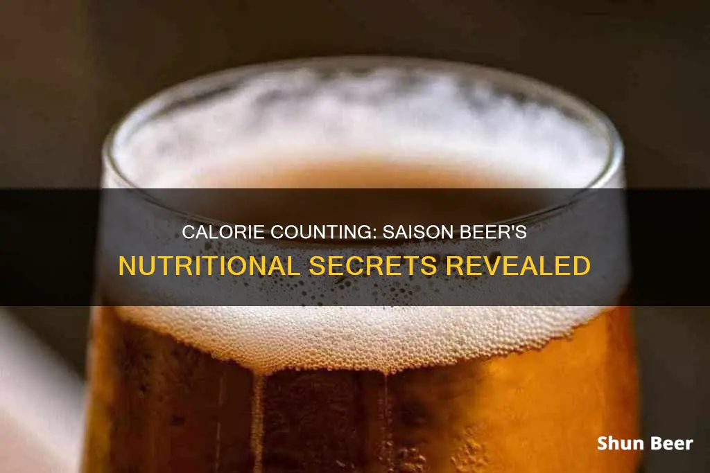 how many calories in a saison beer