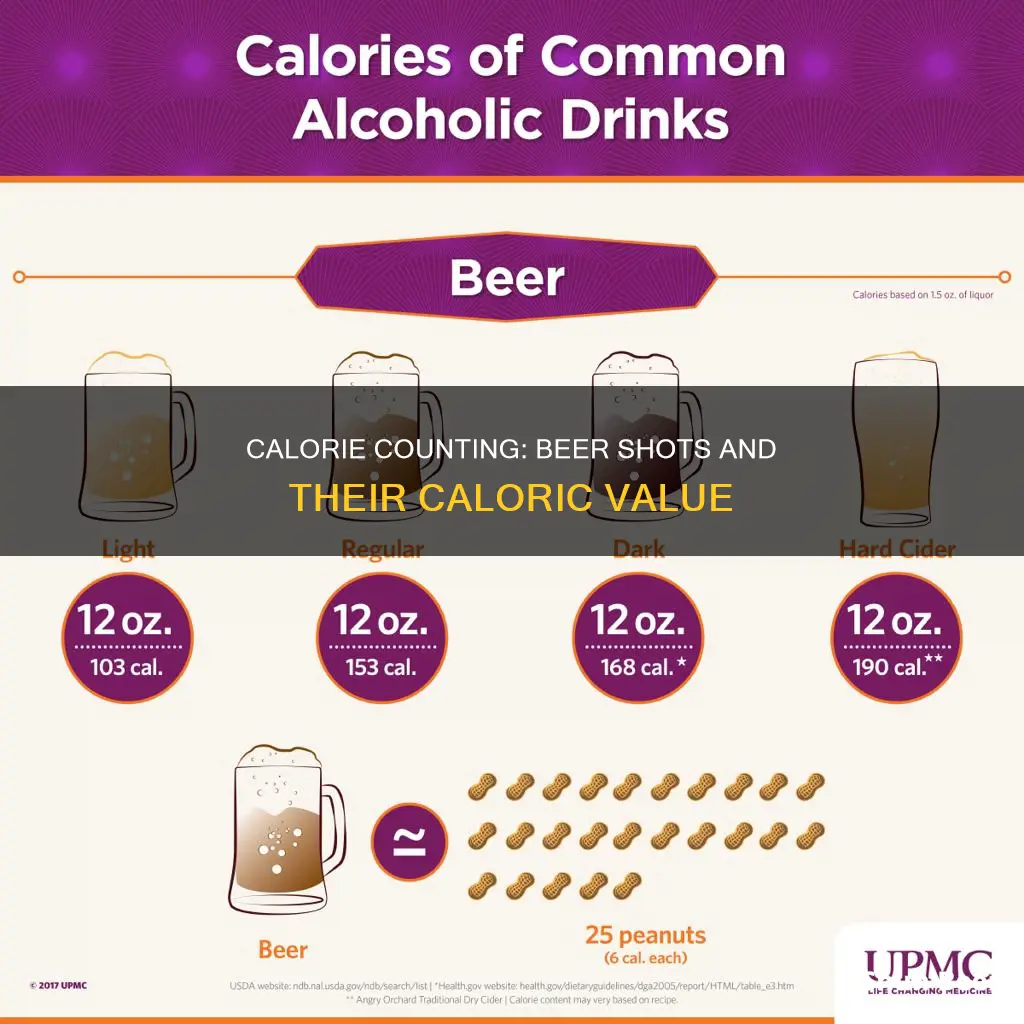 how many calories in a shot of beer