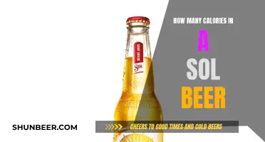 Calorie Count of Sol Beer: Nutritional Facts Explained