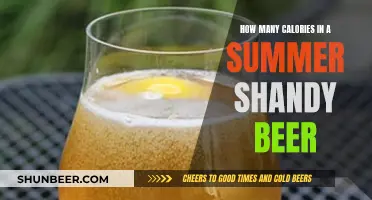 Calories in Summer Shandy Beer: How Much?