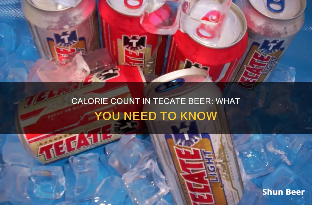 how many calories in a tecate beer