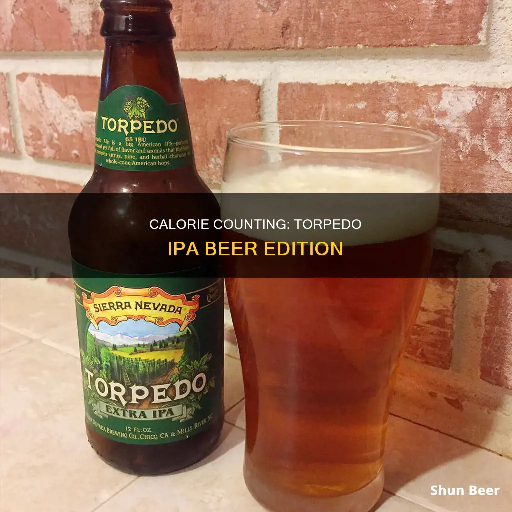 how many calories in a torpedo ipa beer