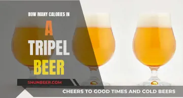 Calorie-Rich Tripel Beer: How Many Calories in One?