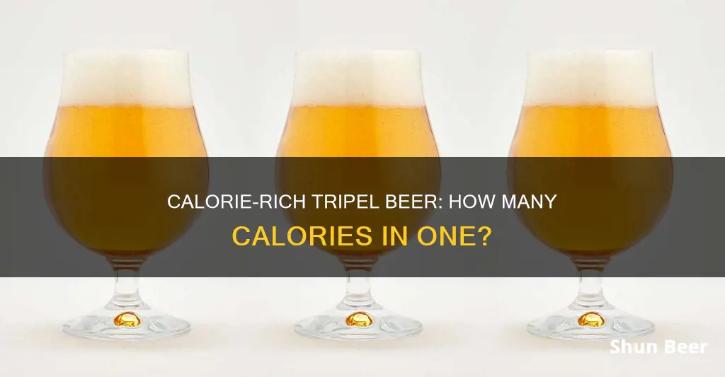 how many calories in a tripel beer