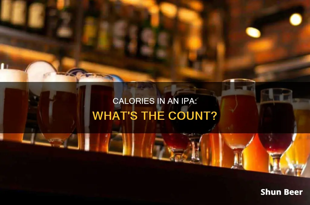 how many calories in a typical ipa beer