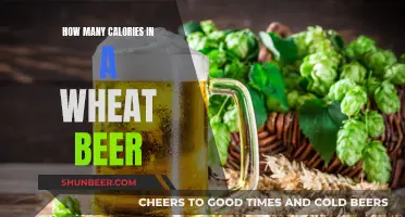 Wheat Beer Calories: What's the Count?