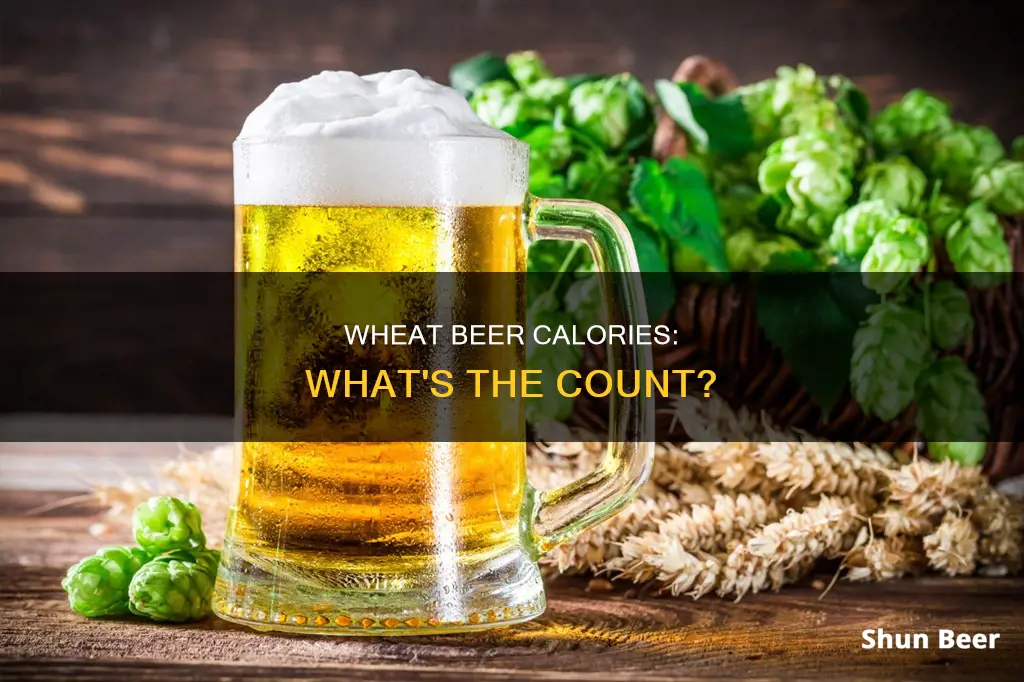 how many calories in a wheat beer