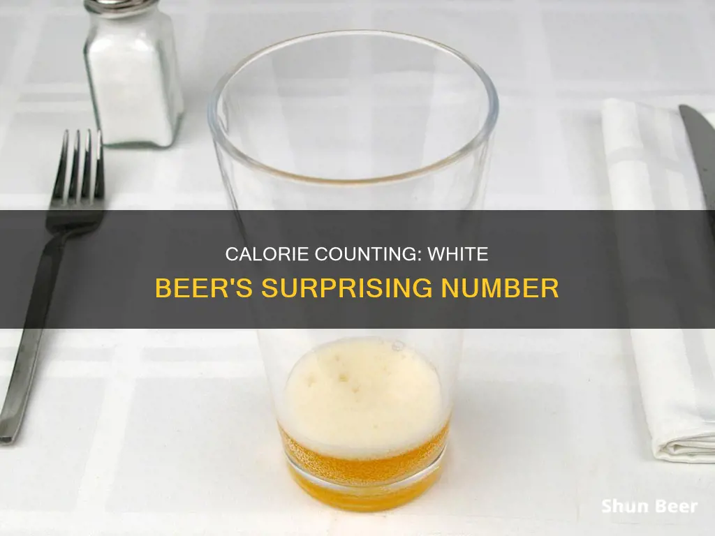 how many calories in a whit beer