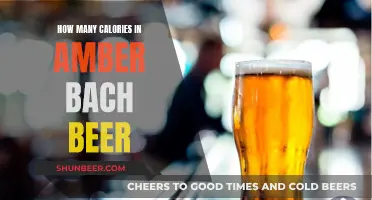 Calories in Amber Bach Beer: Nutritional Facts Explored