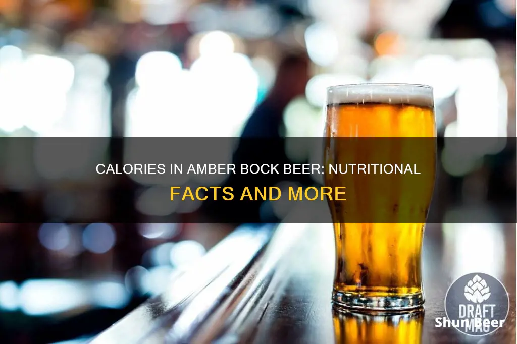 how many calories in amber bock beer