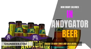 Calorie Count in Andygator Beer: What You Need to Know