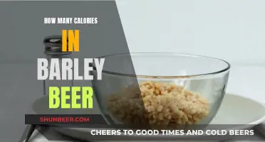 Barley Beer Calories: What You Need to Know